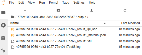 jupyter notebook results files